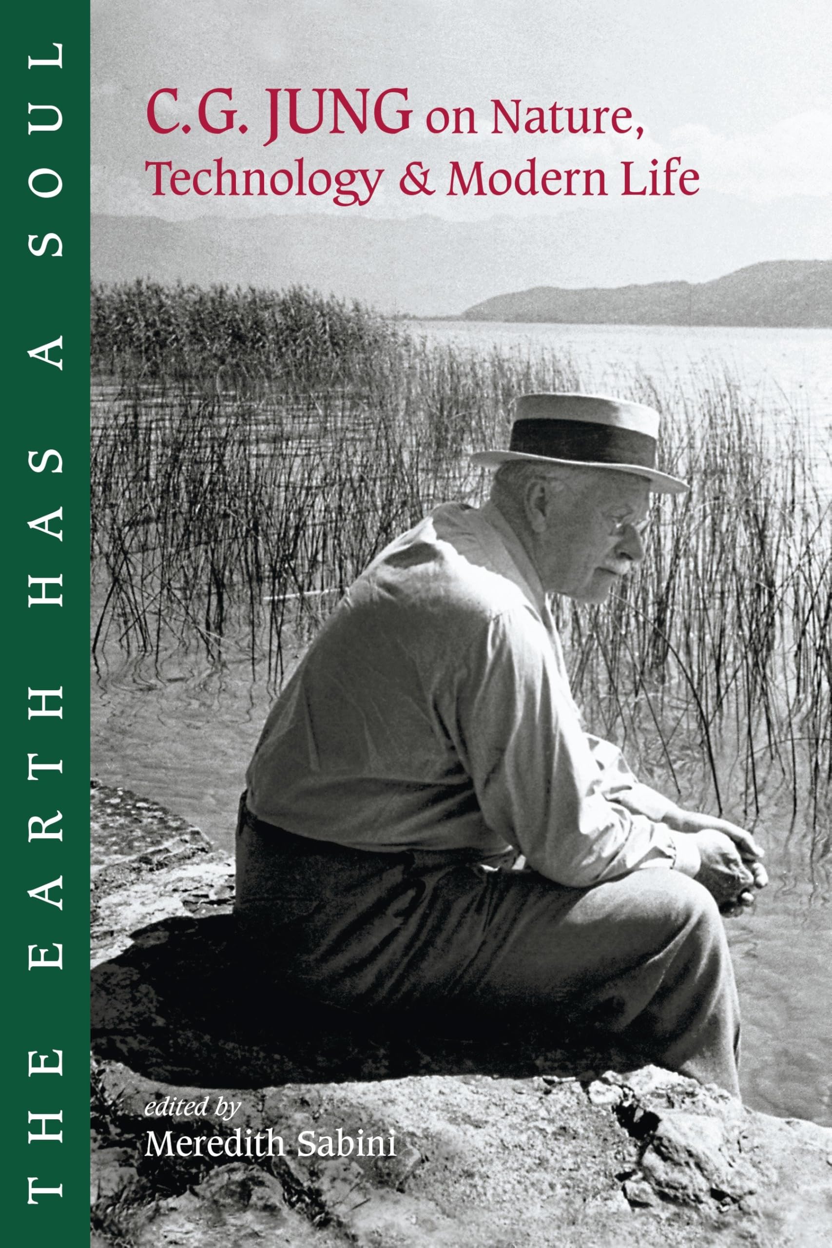 The Earth Has a Soul: C.G. Jung on Nature, Technology & Modern Life,Used