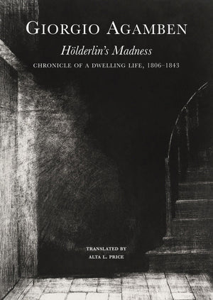 Hlderlin'S Madness: Chronicle Of A Dwelling Life, 18061843 (The Italian List),Used