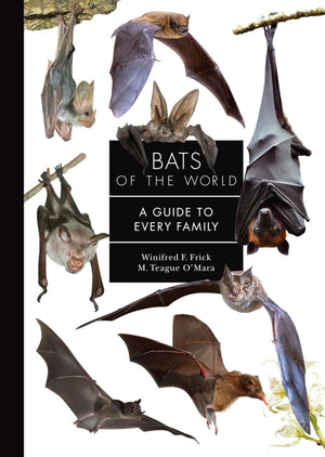 Bats Of The World: A Guide To Every Family