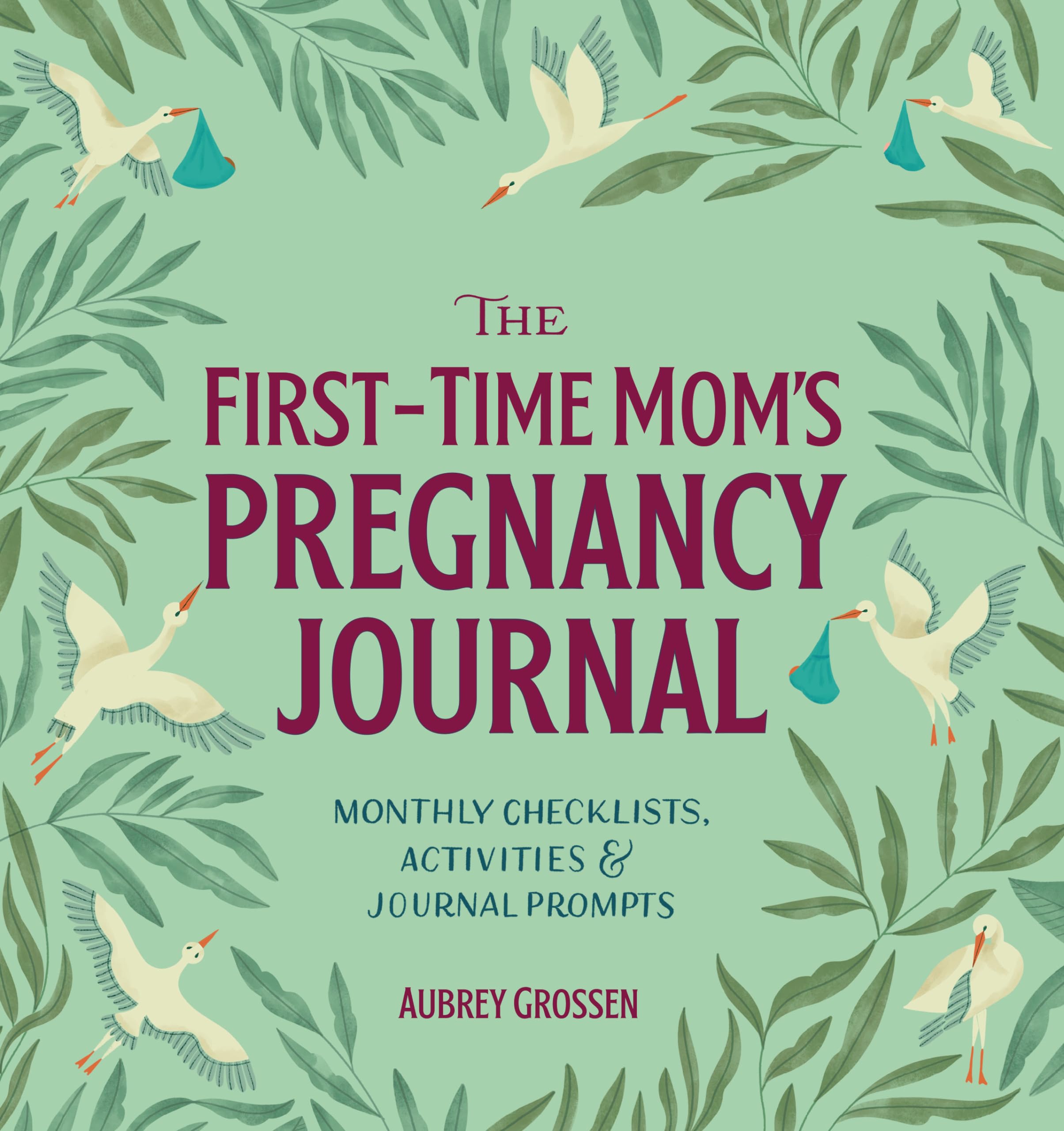 The FirstTime Mom's Pregnancy Journal: Monthly Checklists, Activities, & Journal Prompts,Used