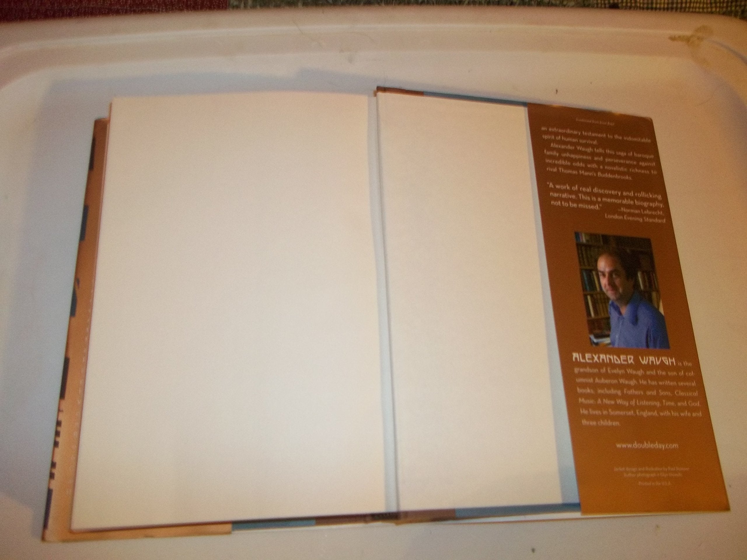 The Dancing Wu Li Masters  An Overview Of The New Physics [Illustrated],Used