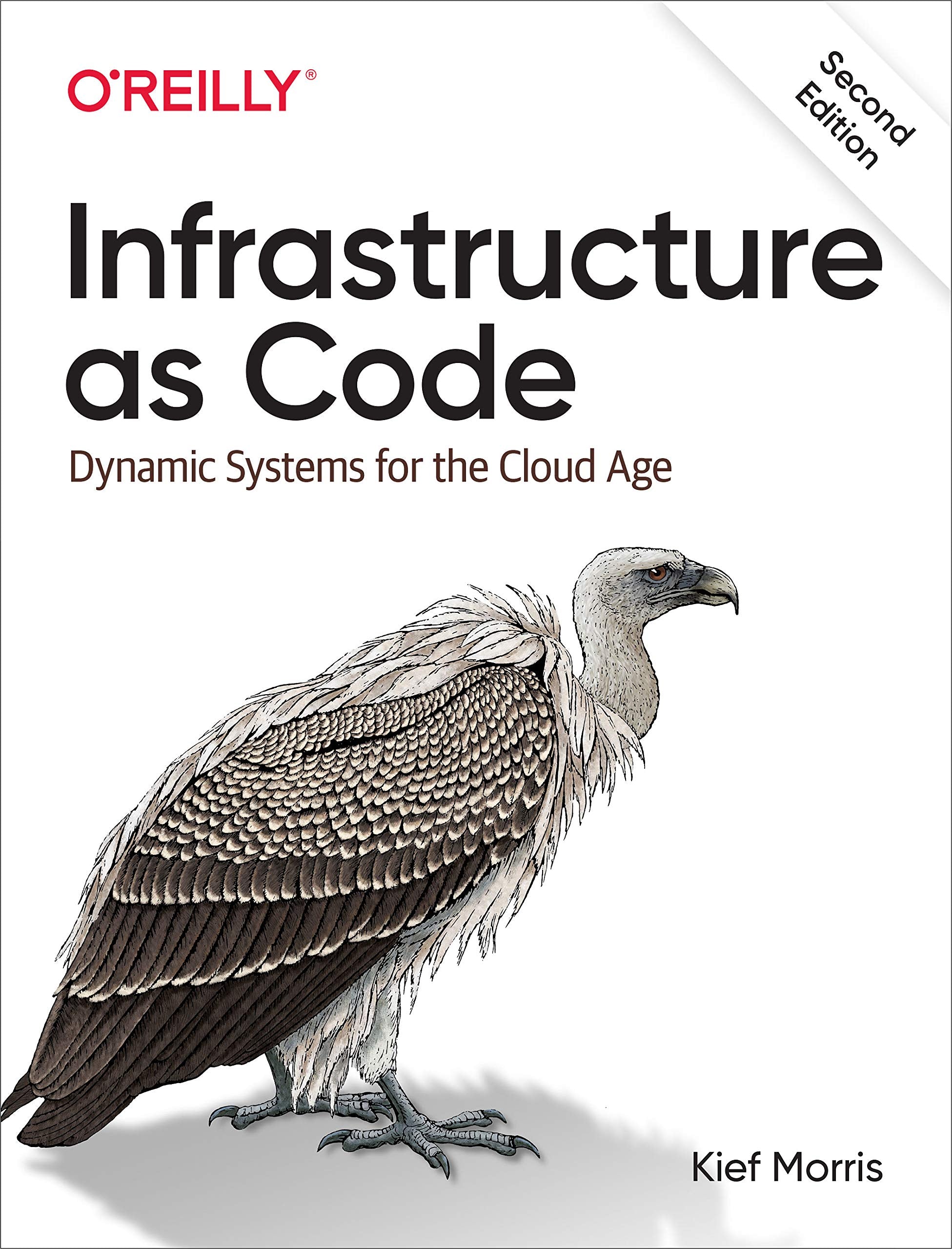 Infrastructure as Code: Dynamic Systems for the Cloud Age,Used