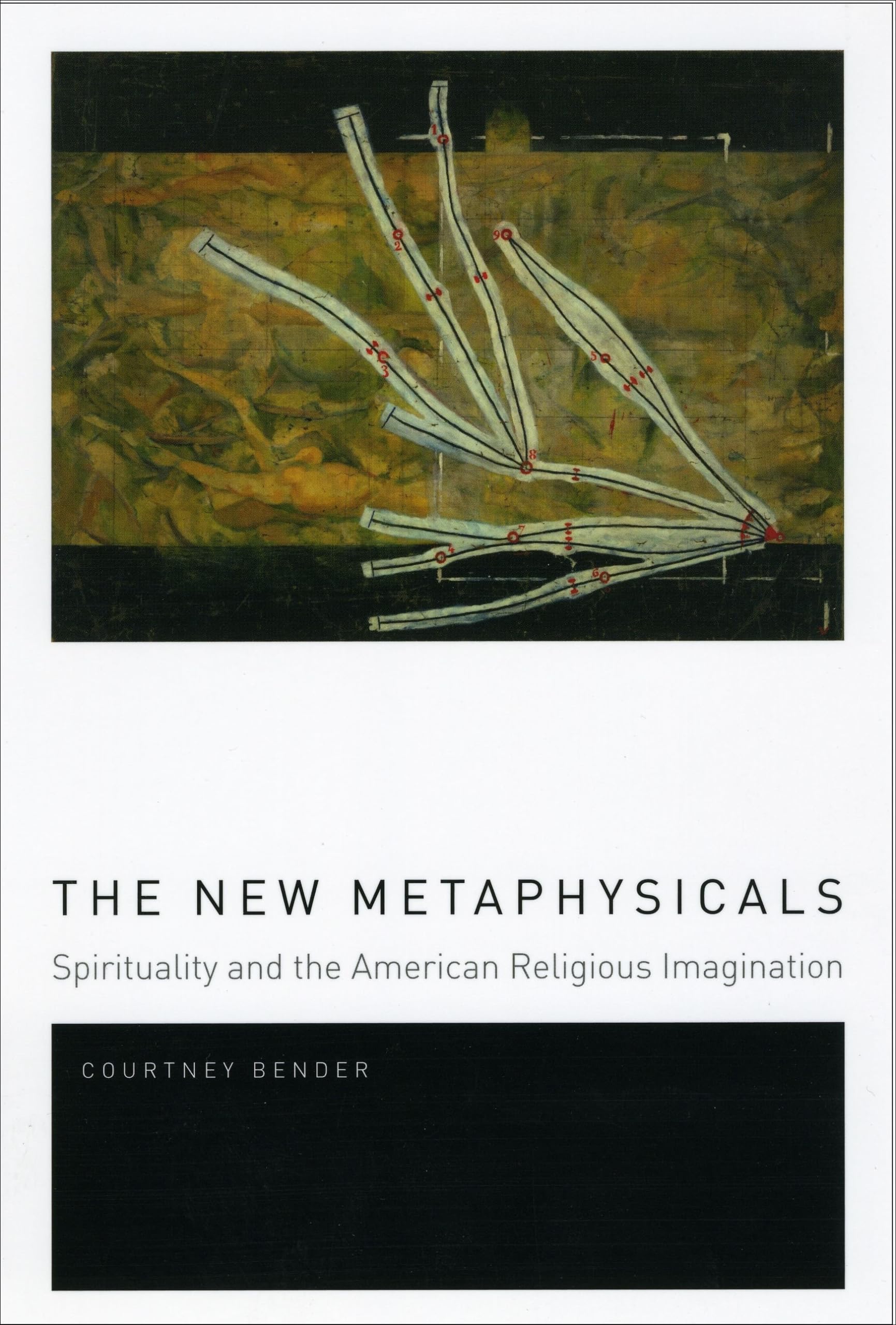 The New Metaphysicals: Spirituality And The American Religious Imagination