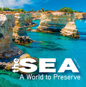 The Sea: A World To Preserve (Cubebook)