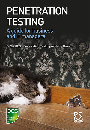 Penetration Testing,Used
