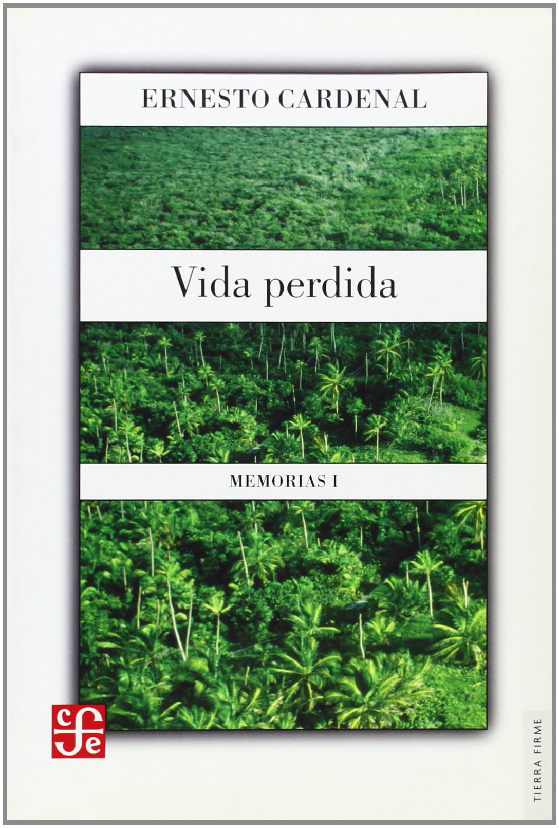 Vida perdida. Memorias I (Spanish Edition),Used