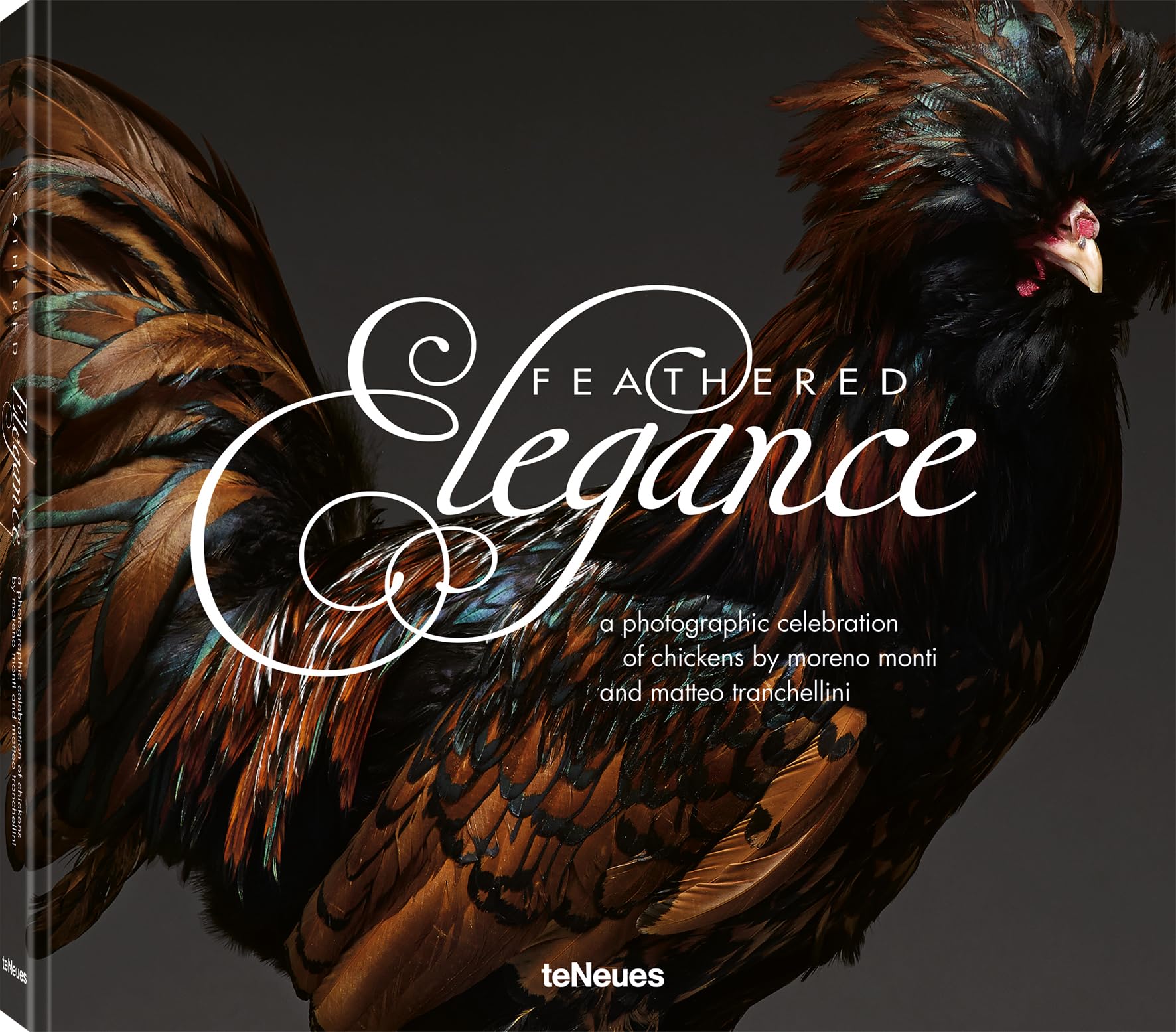 Feathered Elegance: A Photographic Celebration Of Chickens