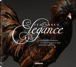 Feathered Elegance: A Photographic Celebration Of Chickens
