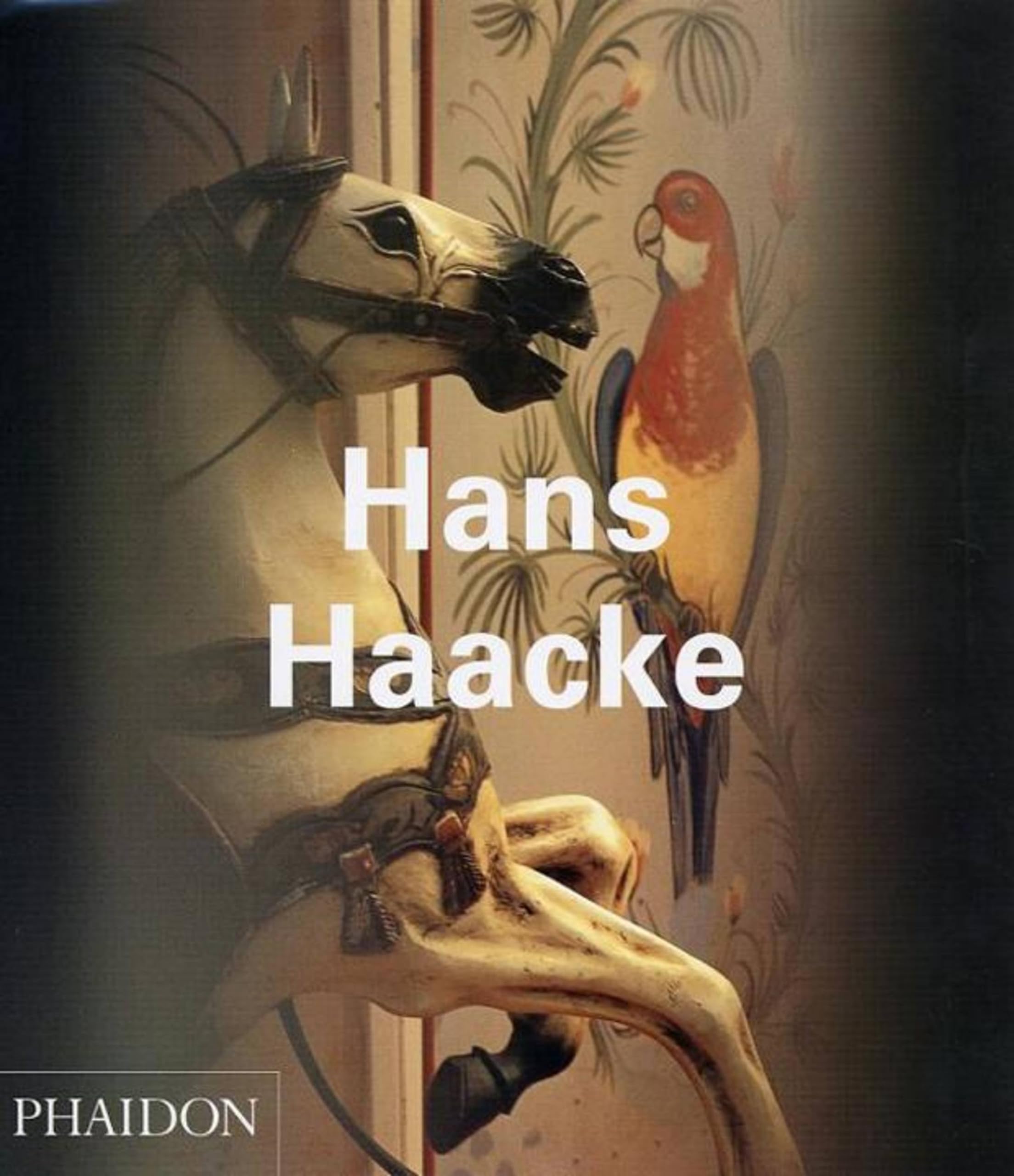 Hans Haacke (Phaidon Contemporary Artist Series)-used