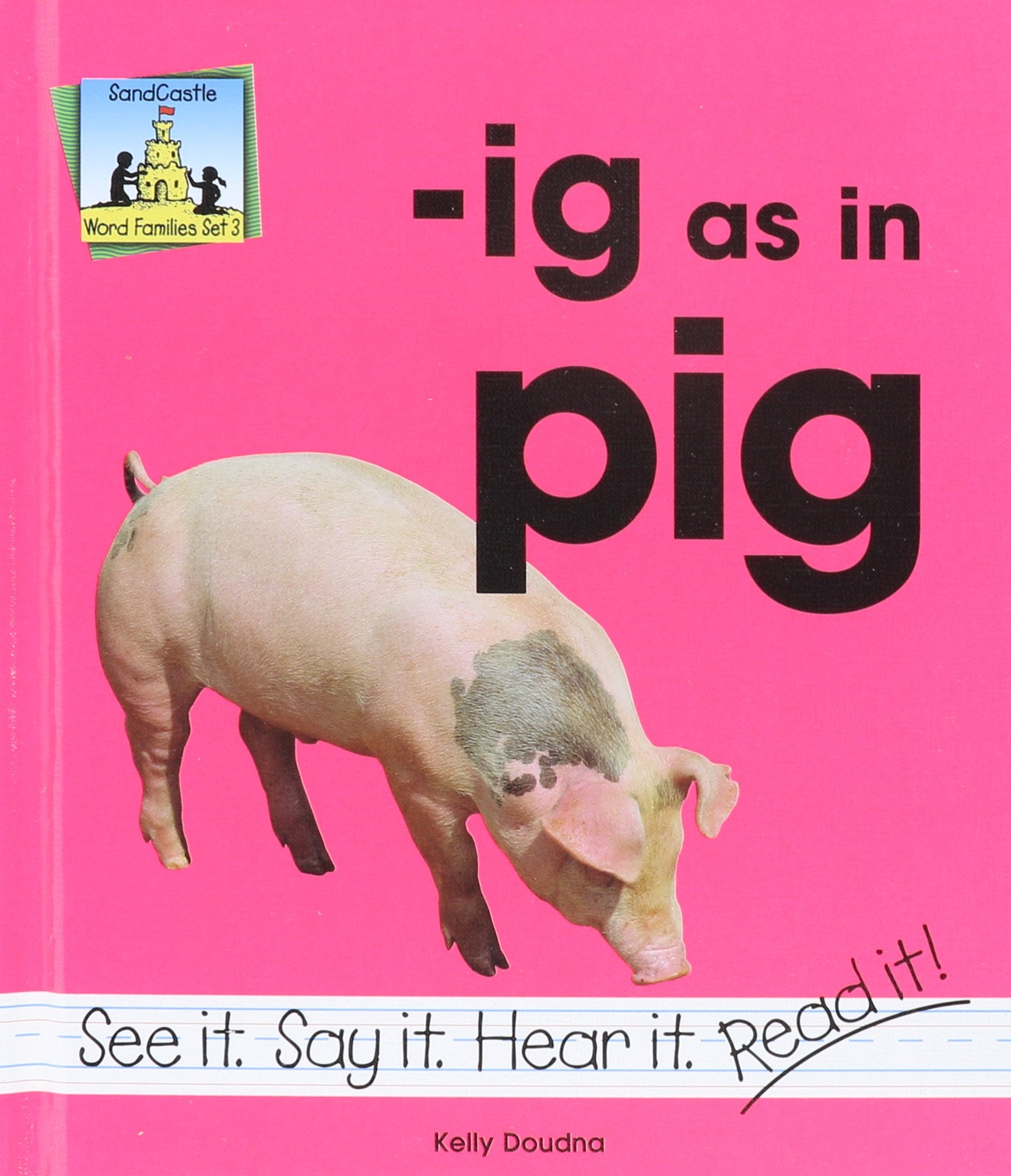 Ig As in Pig (Word Families Set 3),New