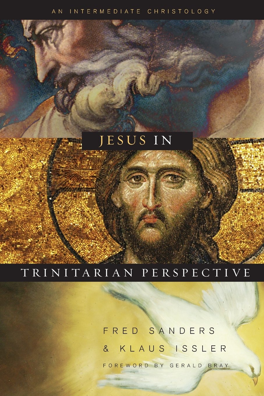 Jesus In Trinitarian Perspective: An Intermediate Christology,New