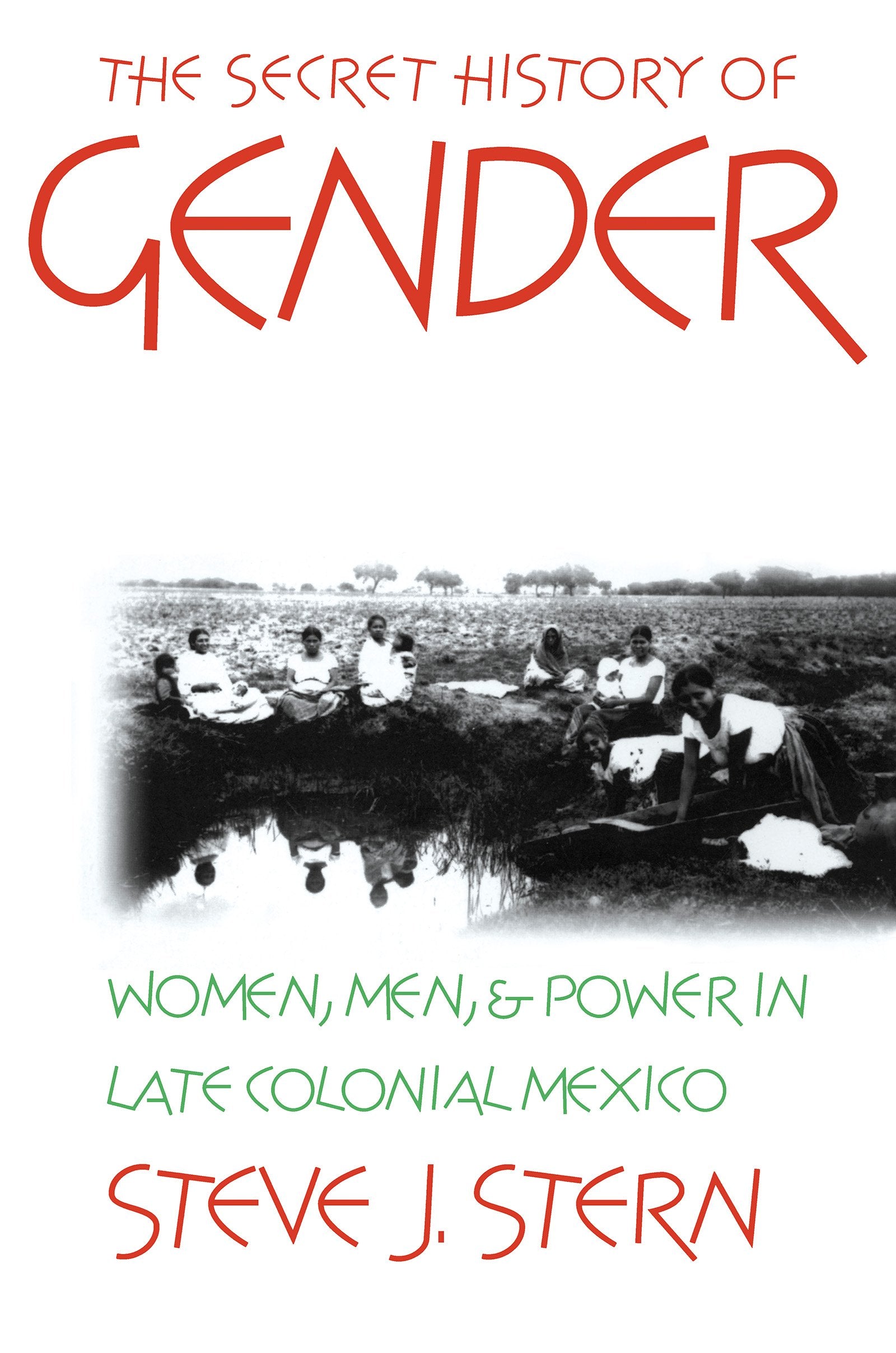 The Secret History of Gender: Women, Men, and Power in Late Colonial Mexico,Used