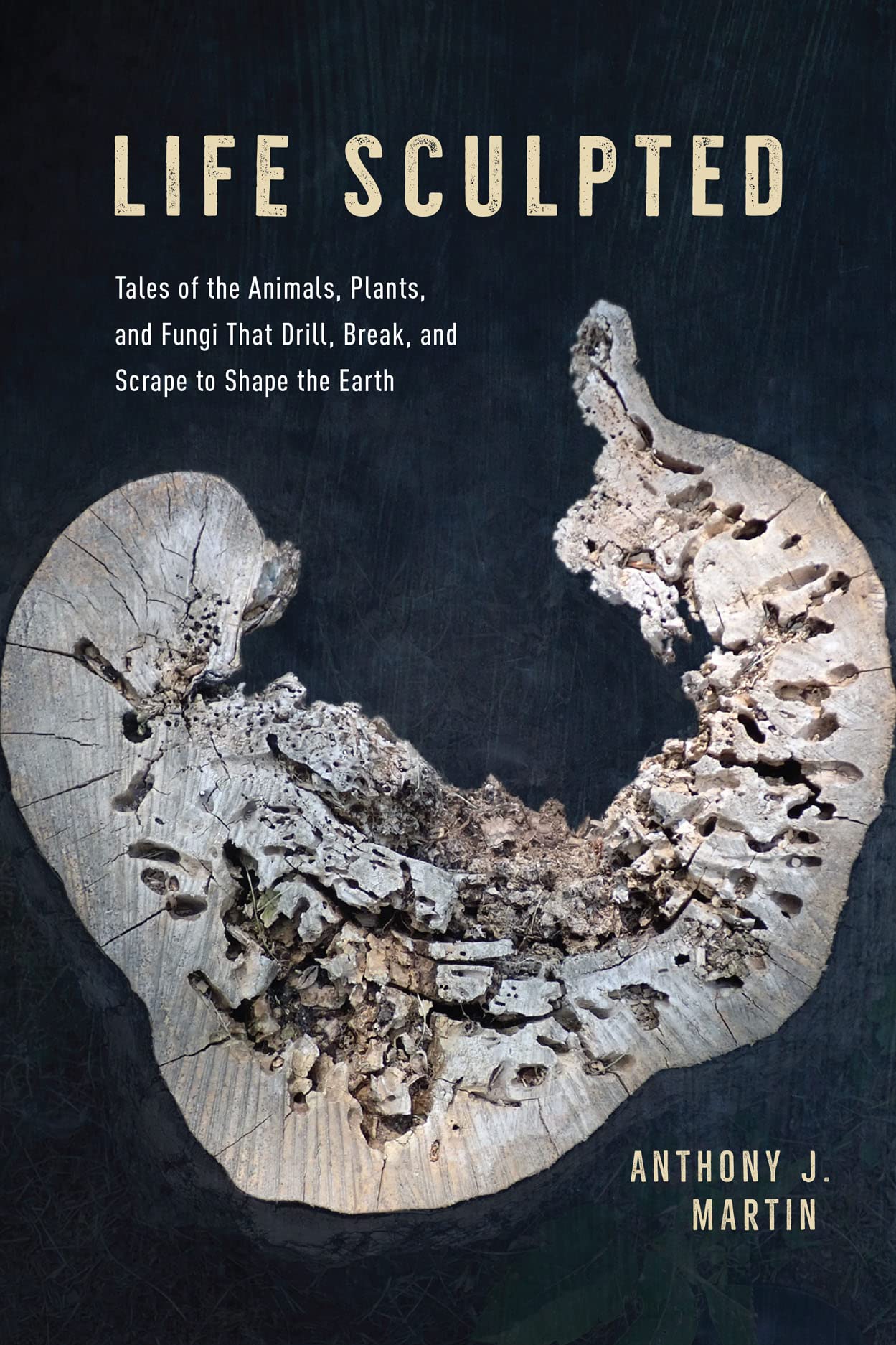 Life Sculpted: Tales of the Animals, Plants, and Fungi That Drill, Break, and Scrape to Shape the Earth,Used