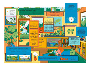 Life on Earth: Jungle: With 100 Questions and 70 Liftflaps!,Used