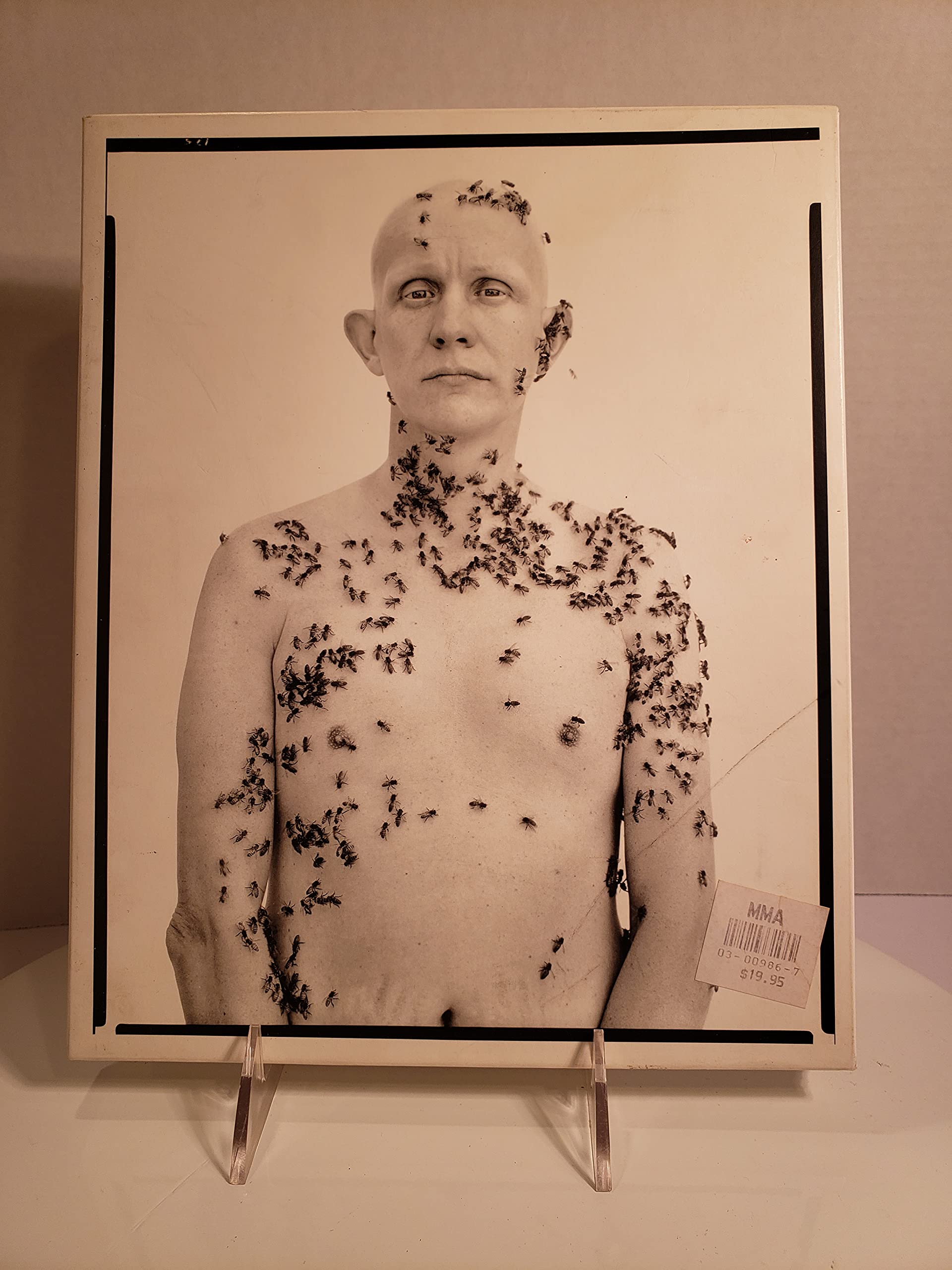 Richard Avedon Portraits,Used