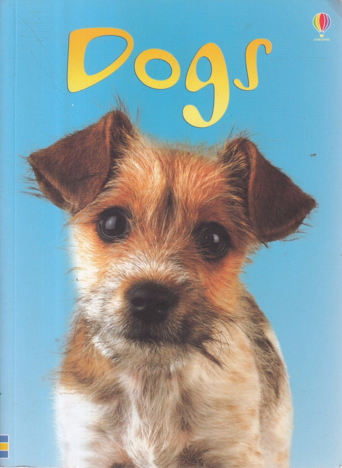 Dogs (Beginners),New