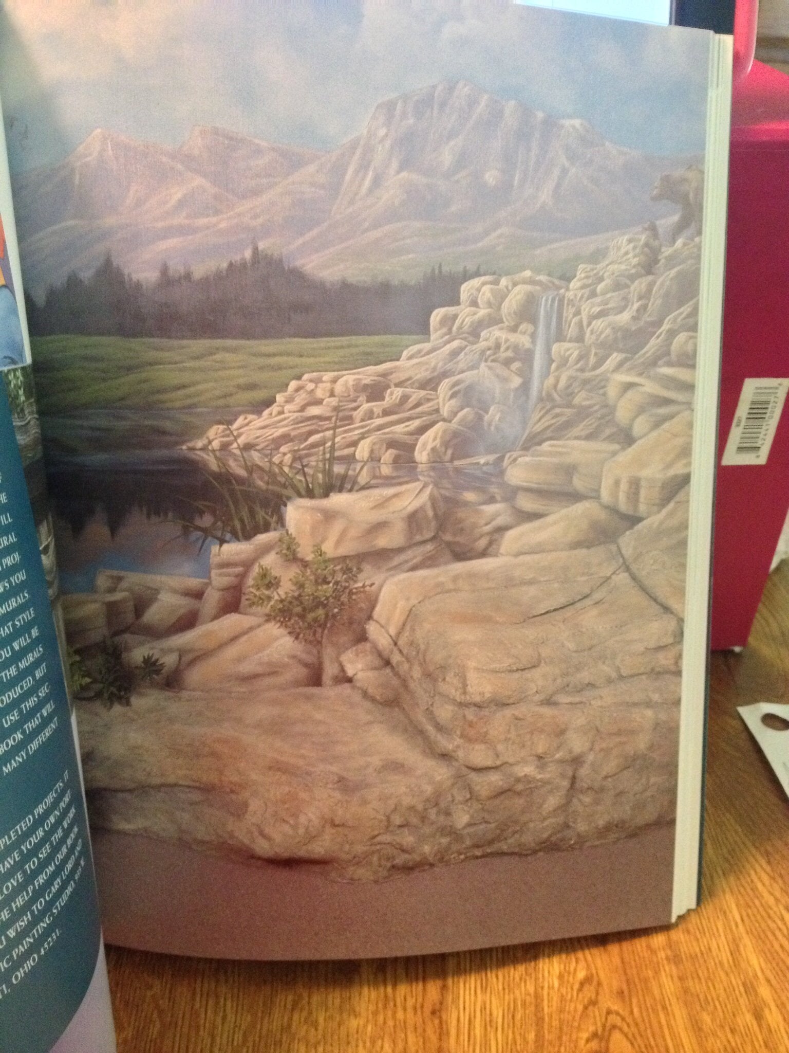 Marvelous Murals You Can Paint,Used