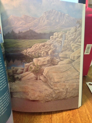 Marvelous Murals You Can Paint,Used