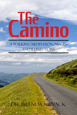 The Camino: A Walking Meditation; Images and Reflections,Used