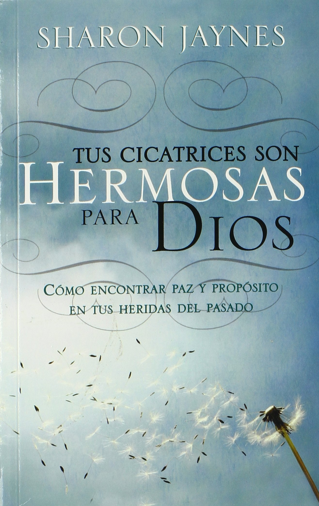 Tus Cicatrices son Hermosas para Dios (Spanish Edition),New