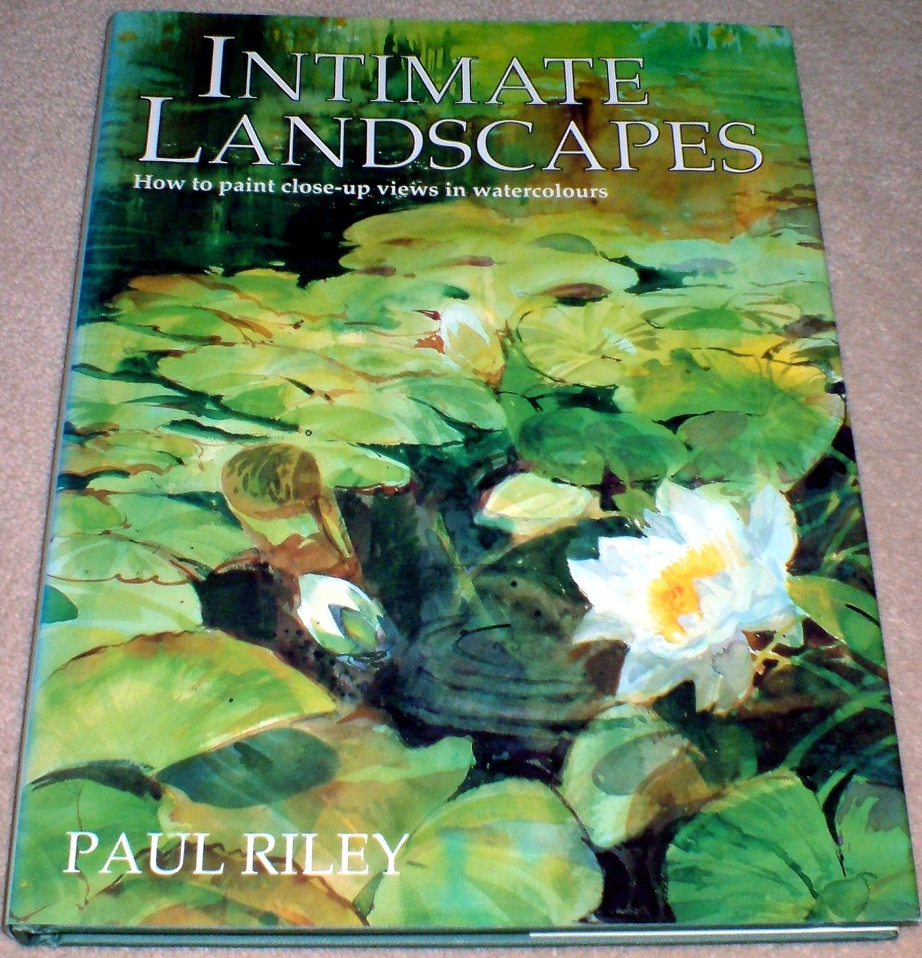 Intimate Landscapes: How to Paint CloseUp Views in Watercolours,Used