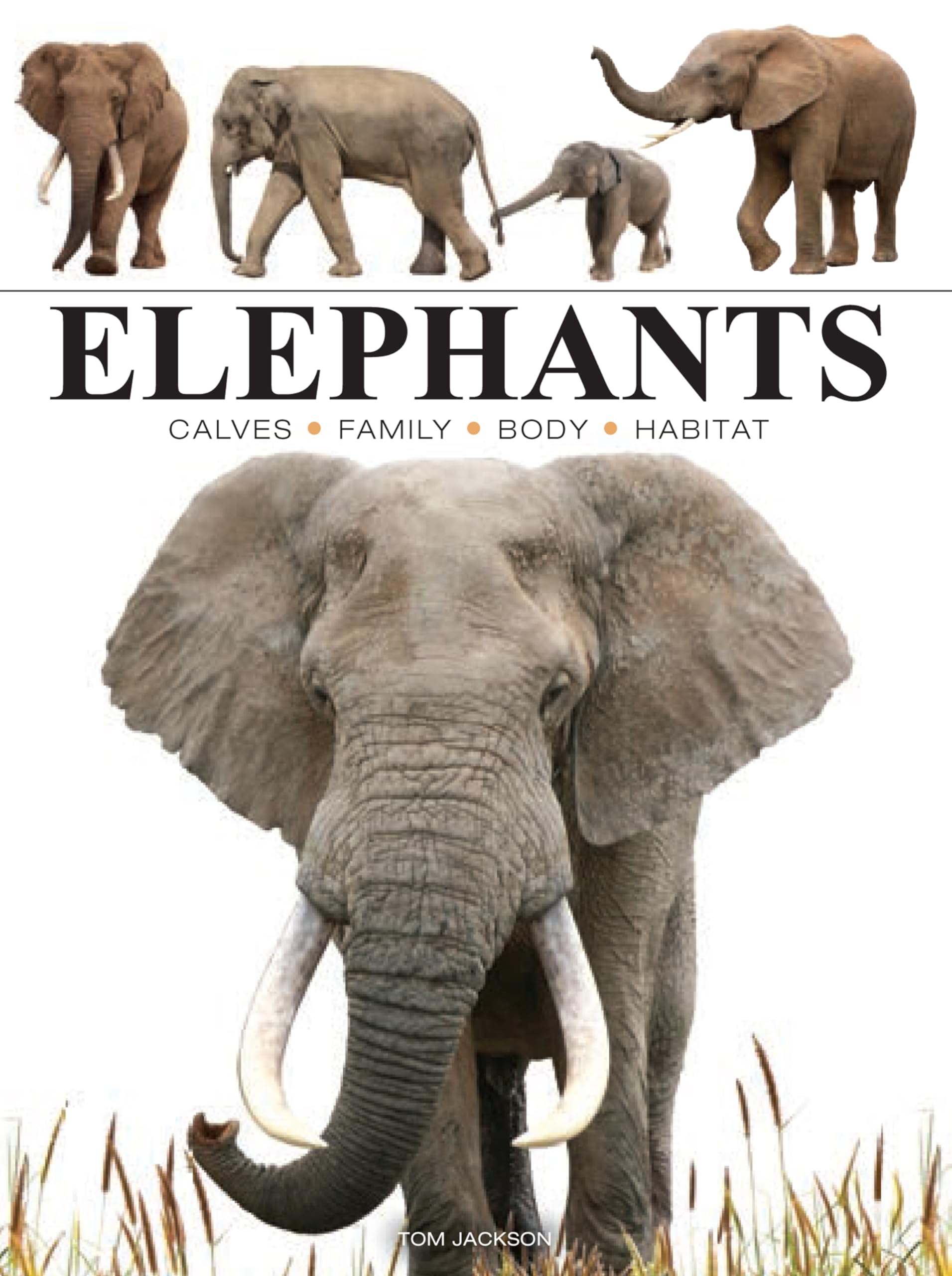 Elephants (Mini Encyclopedia),New