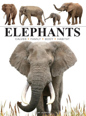 Elephants (Mini Encyclopedia),New