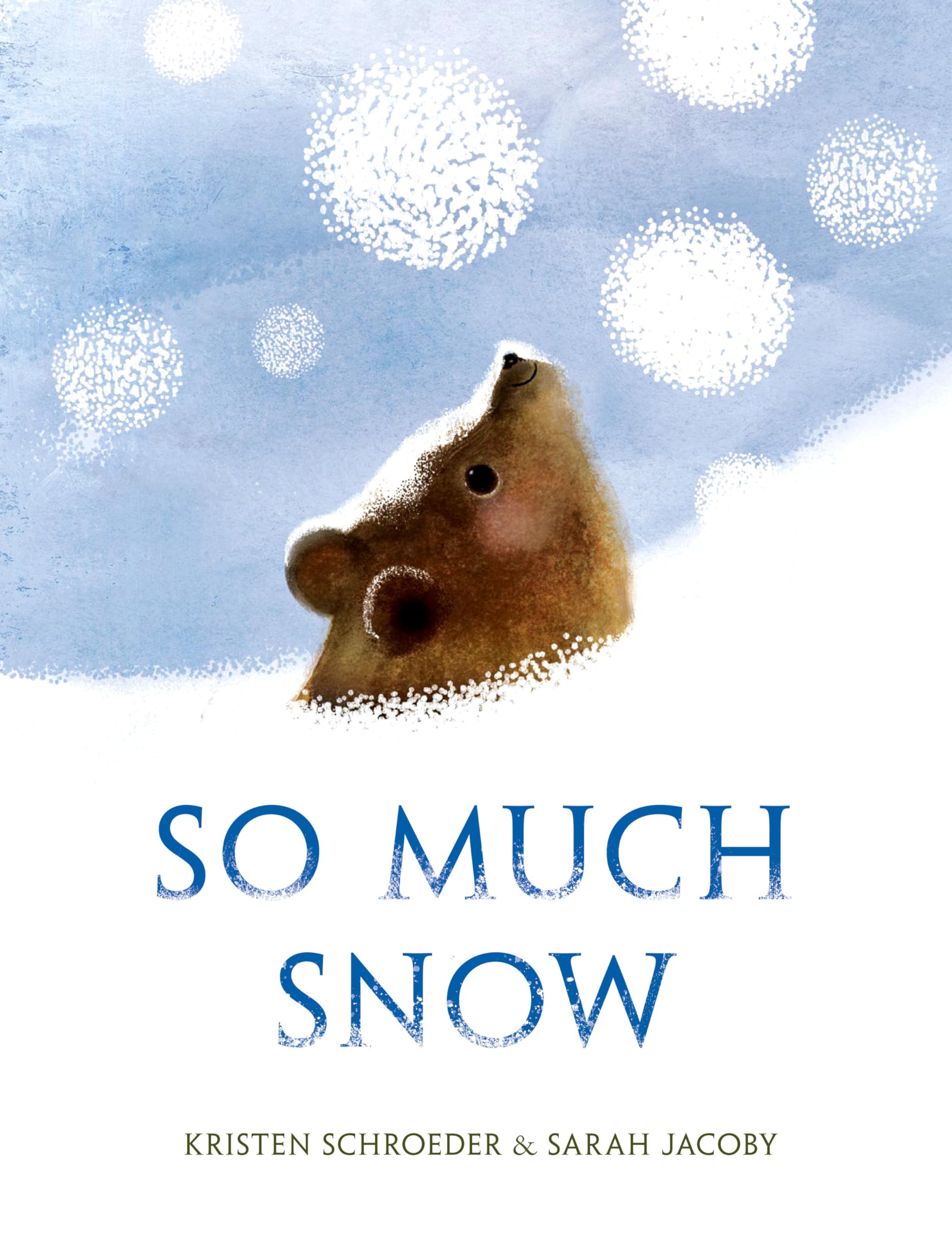 So Much Snow,Used