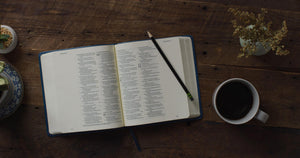 ESV Journaling Bible (TruTone, Deep Teal, Fleurdelis Design),Used