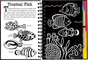 Scratch & Sketch Under the Sea (Trace Along),Used