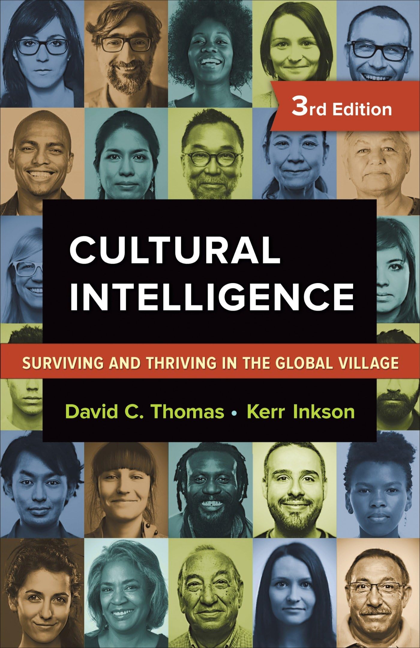 Cultural Intelligence: Surviving and Thriving in the Global Village,Used