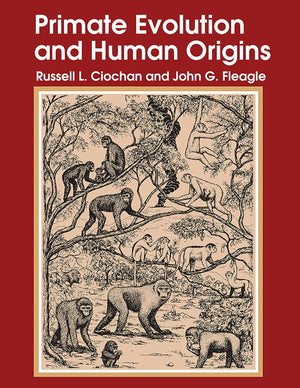 Primate Evolution and Human Origins (Foundations of Human Behavior),Used
