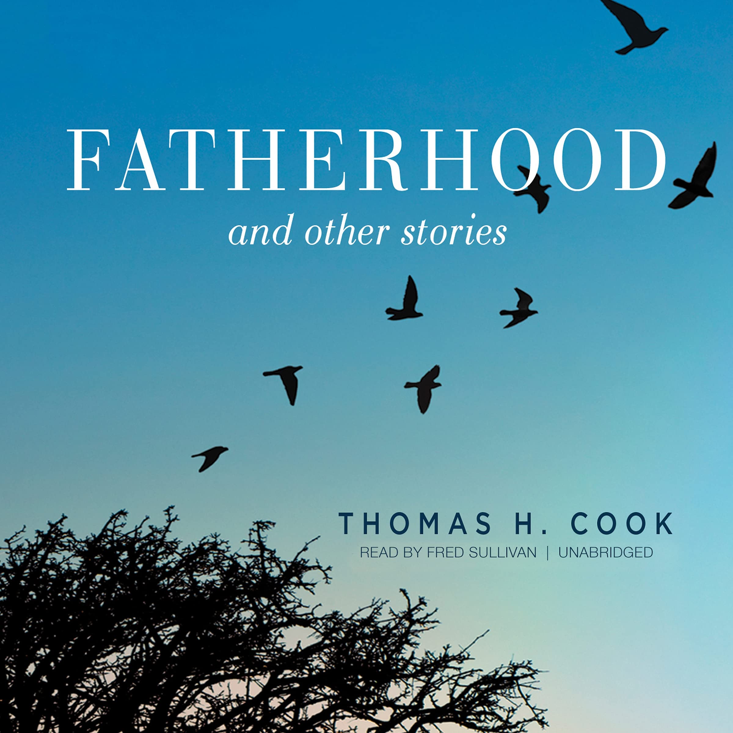 Fatherhood: And Other Stories,Used