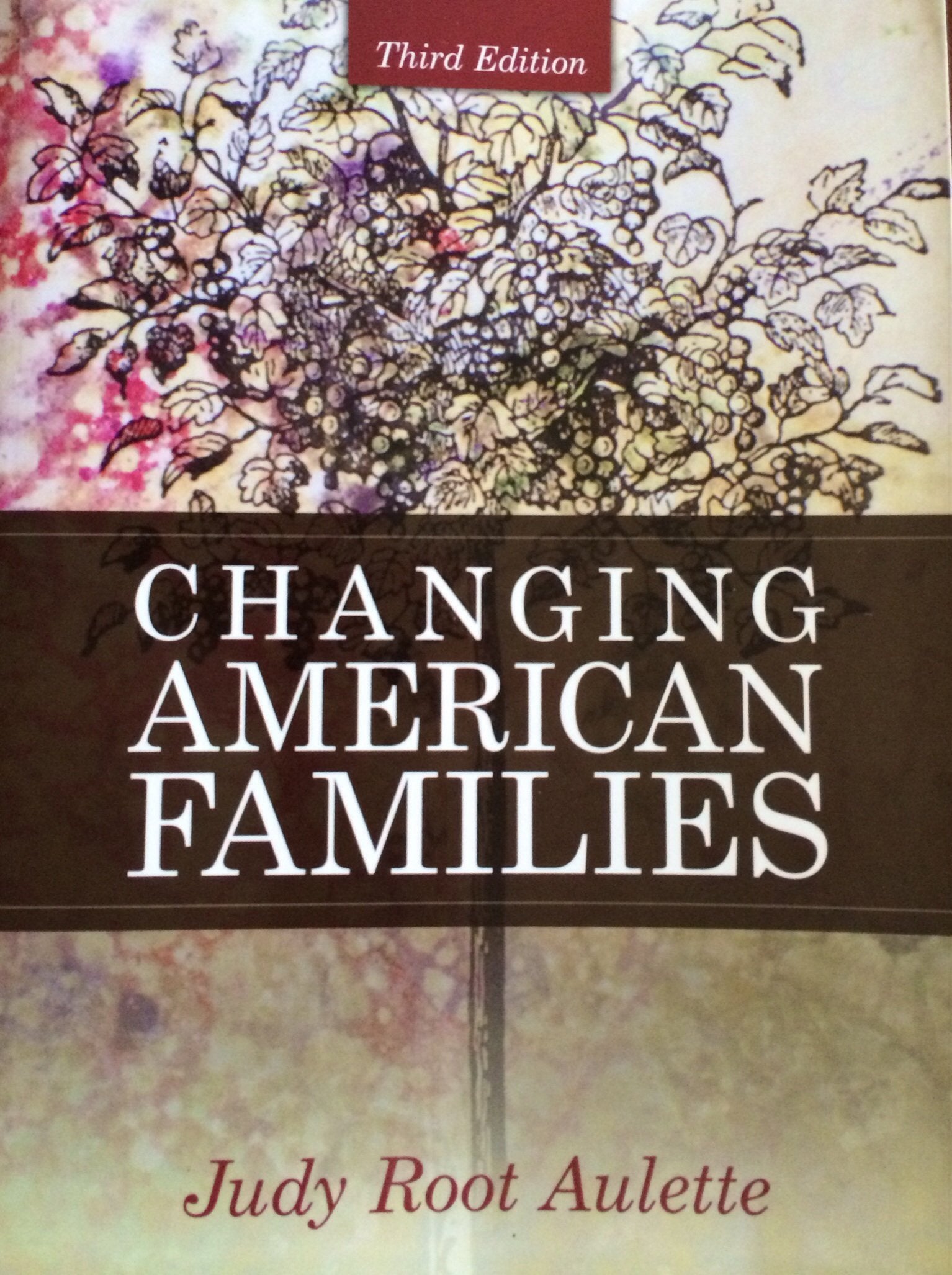 Changing American Families (3rd Edition),New