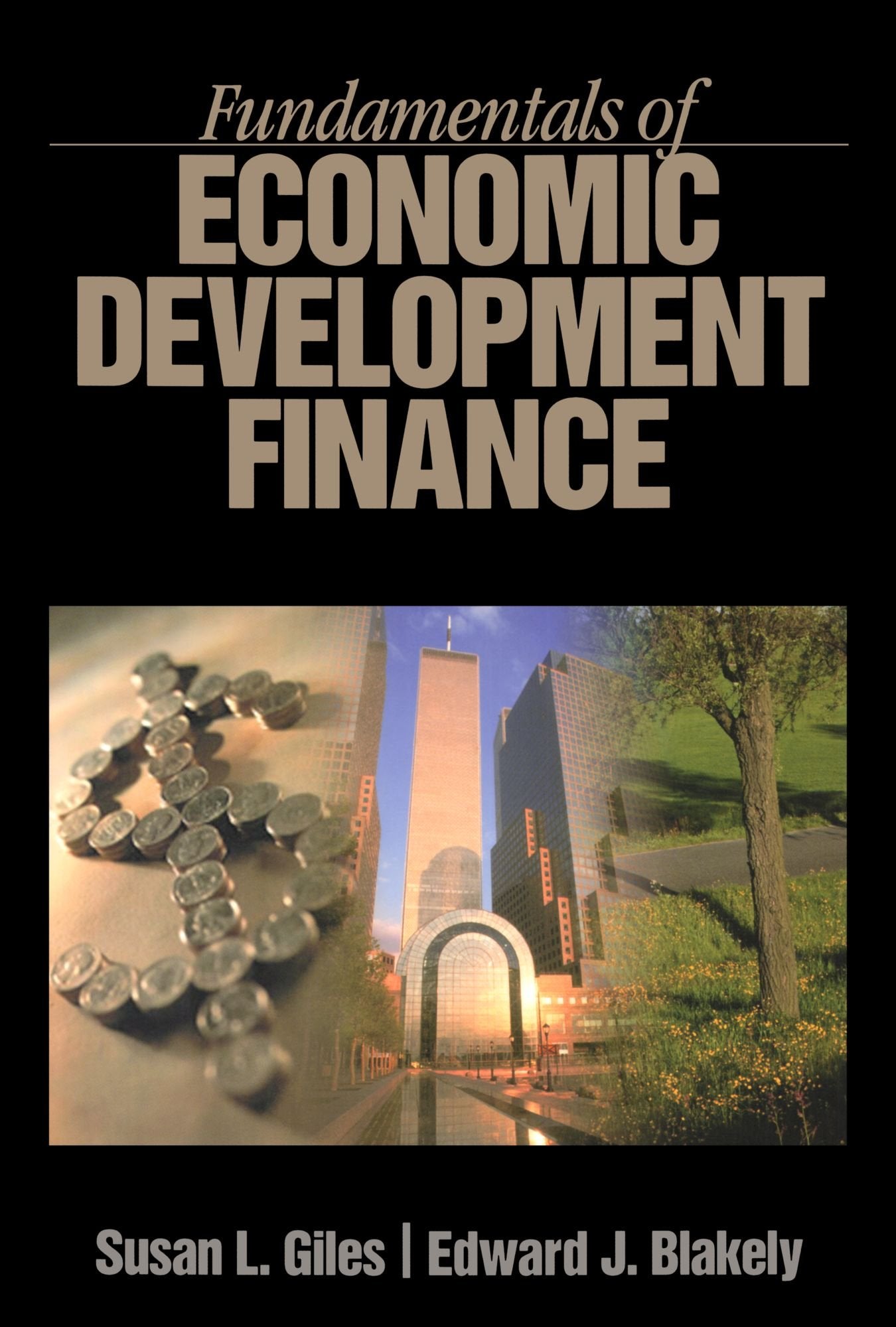 Fundamentals of Economic Development Finance,New