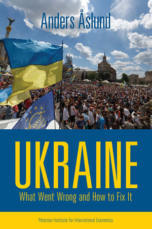 Ukraine: What Went Wrong and How to Fix It,Used