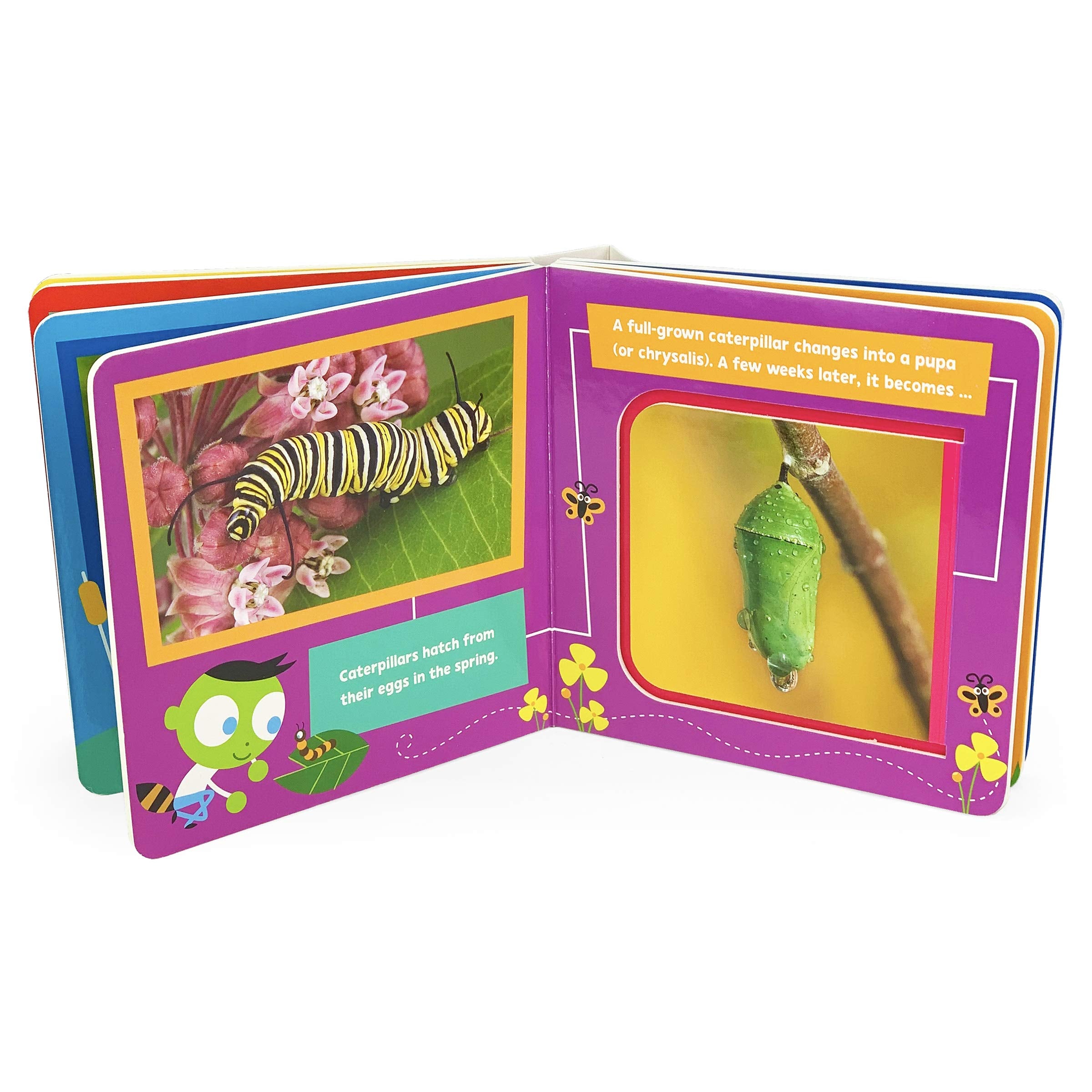 Bugs and Insects! A PBS Kids LiftaFlap Board Book for Babies and Toddlers, Ages 14 (Pbs Kids Chunky Liftaflap Board Book)