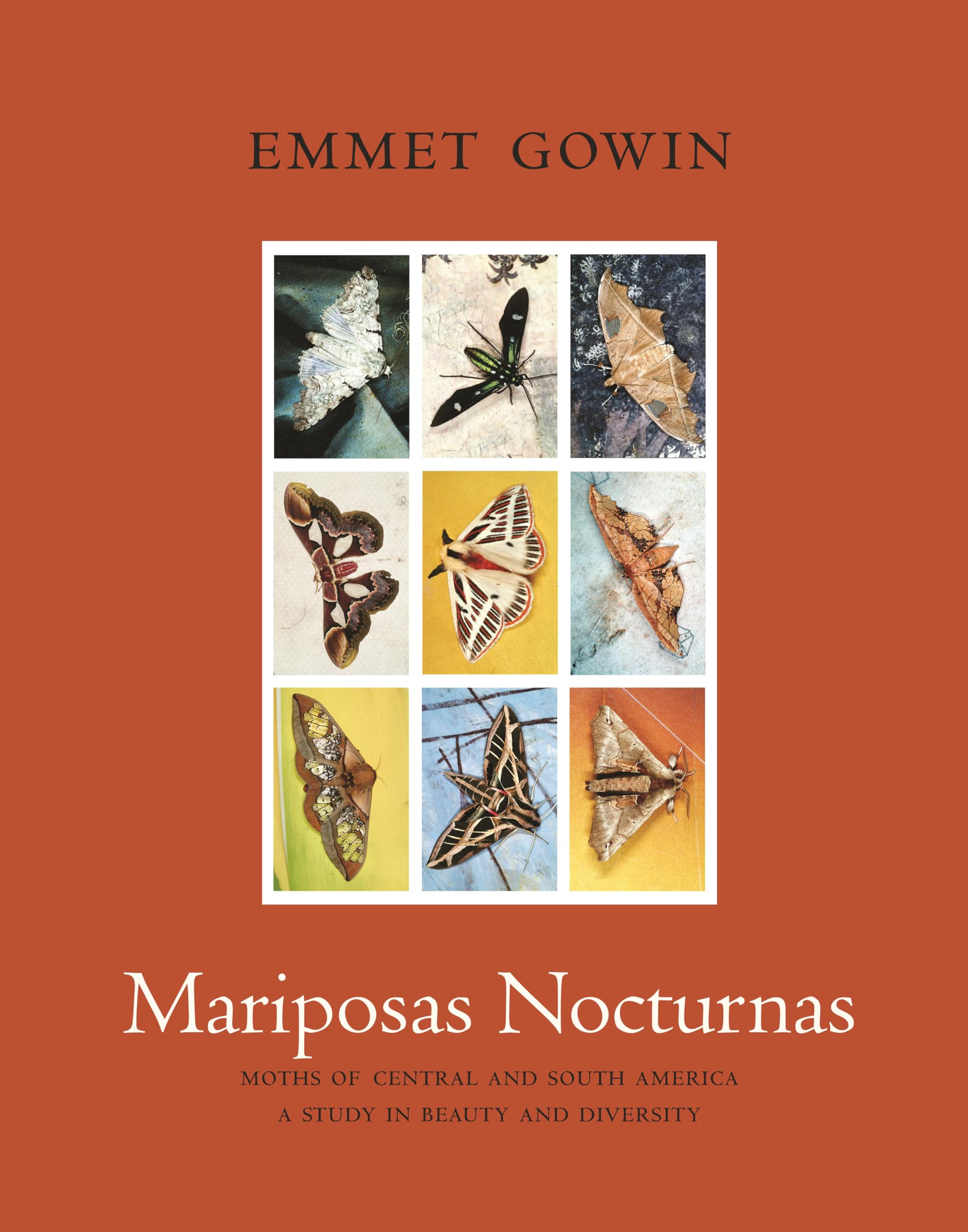 Mariposas Nocturnas: Moths Of Central And South America, A Study In Beauty And Diversity,New