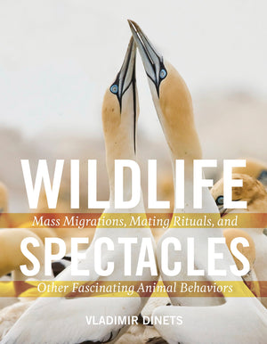 Wildlife Spectacles: Mass Migrations, Mating Rituals, And Other Fascinating Animal Behaviors