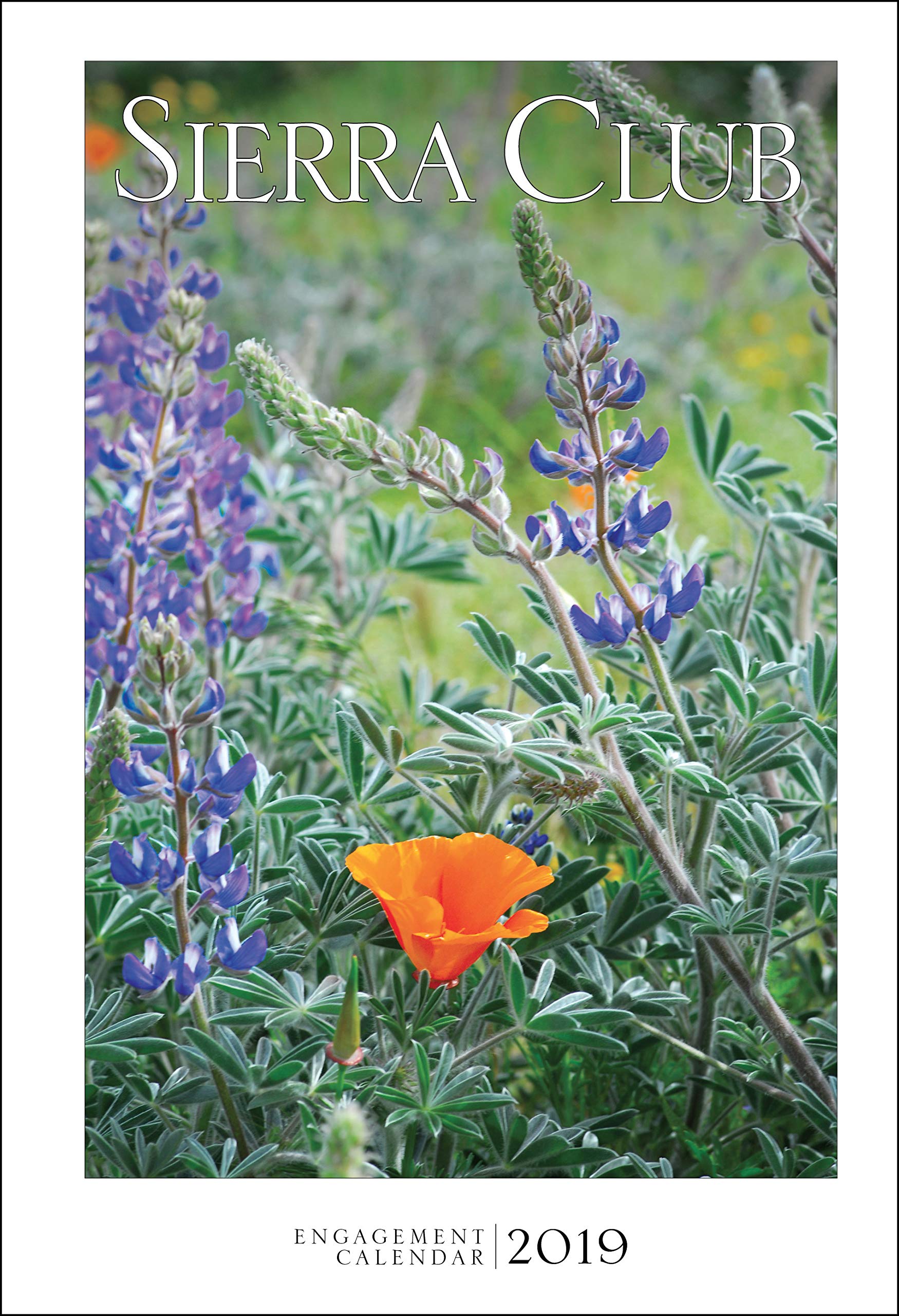 Sierra Club Engagement Calendar 2019,Used