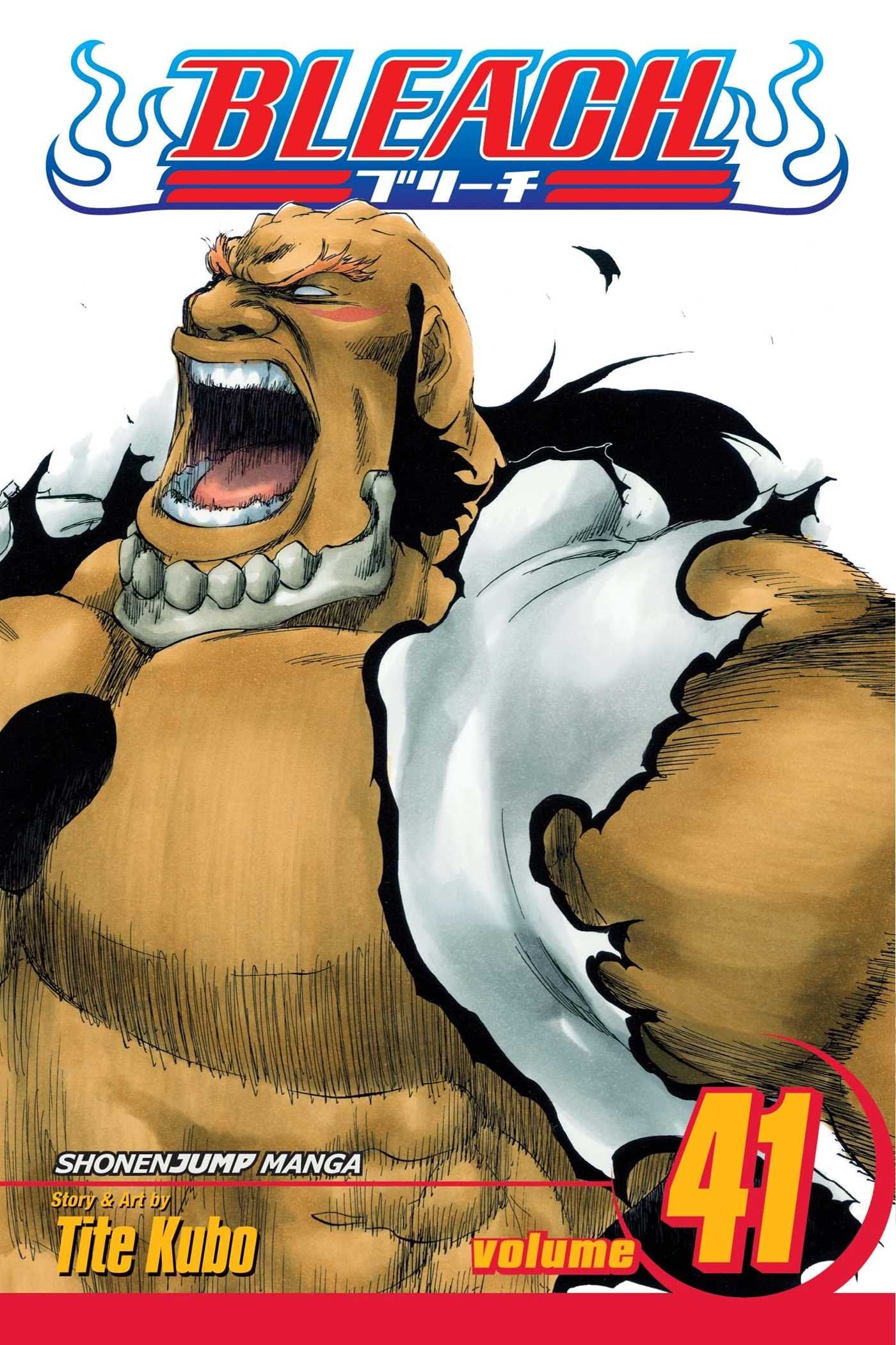 Bleach, Vol. 41,New