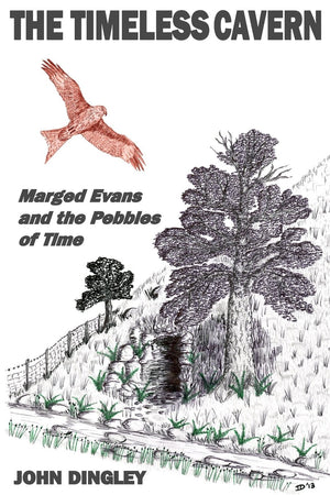 The Timeless Cavern: Marged Evans and the Pebbles of Time,Used