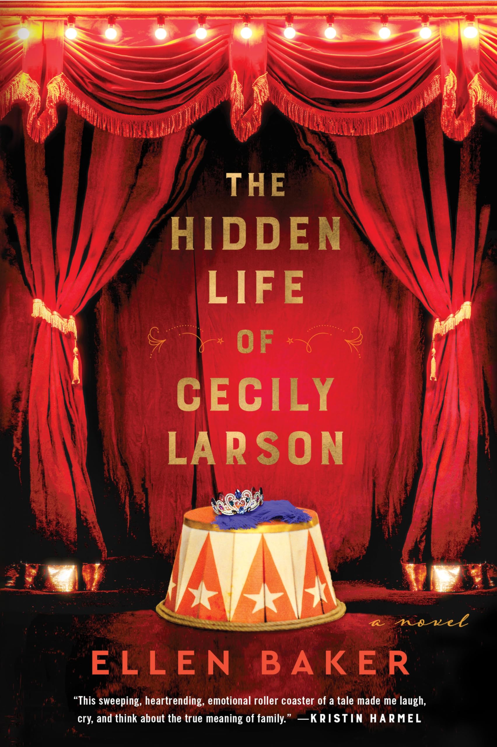 The Hidden Life Of Cecily Larson: A Novel,Used