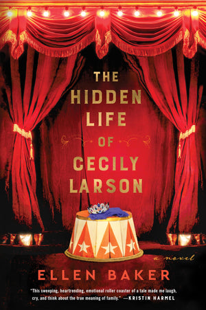 The Hidden Life Of Cecily Larson: A Novel,Used