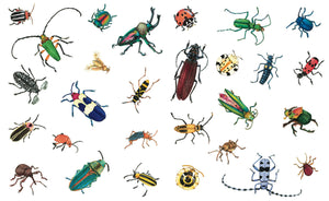 A Beetle Is Shy (Sylvia Long)