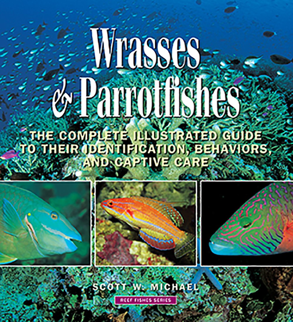Wrasses & Parrotfishes: The Complete Illustrated Guide to Their Identification, Behaviors, and Captive Care (Reef Fishes),Used