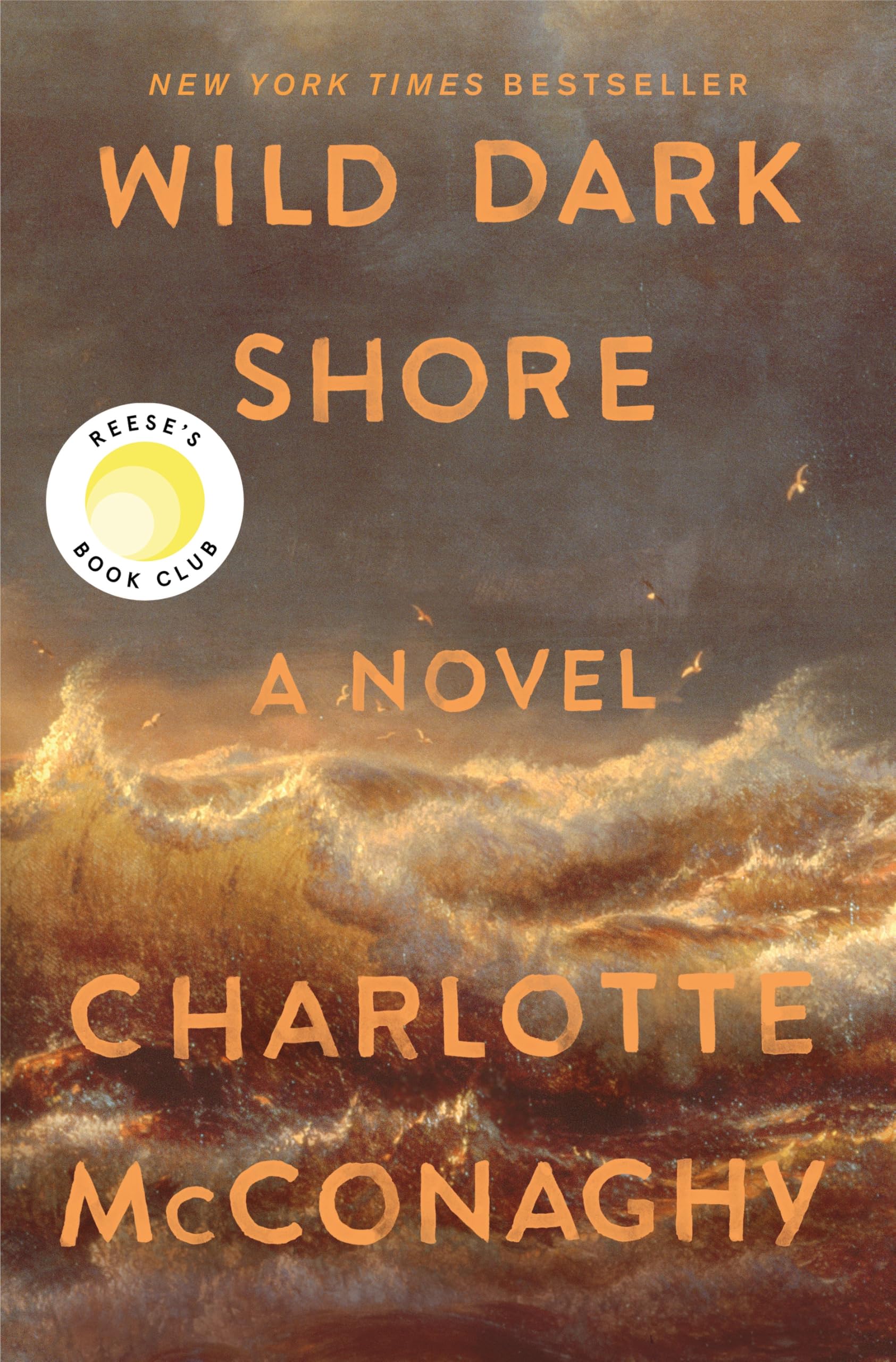 Wild Dark Shore: ReeseS Book Club Pick (A Novel)