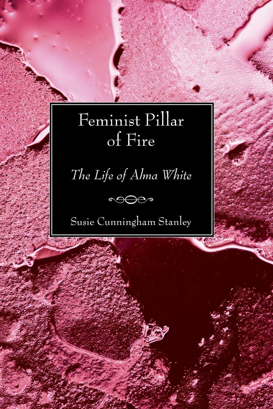 Feminist Pillar Of Fire: The Life Of Alma White,Used