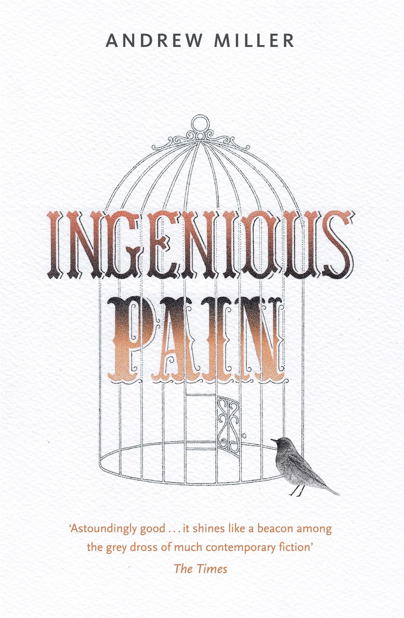 Ingenious Pain,Used