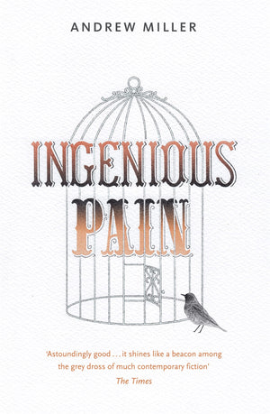 Ingenious Pain,Used